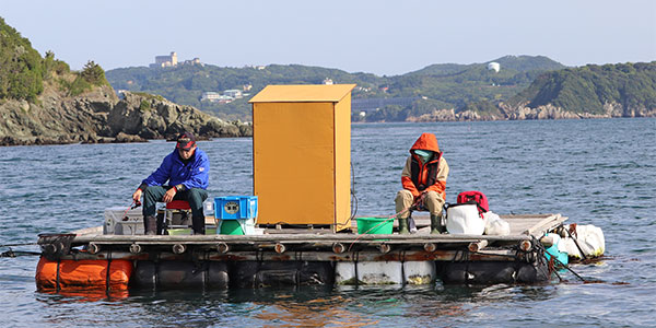 フィッシングパーク菅島